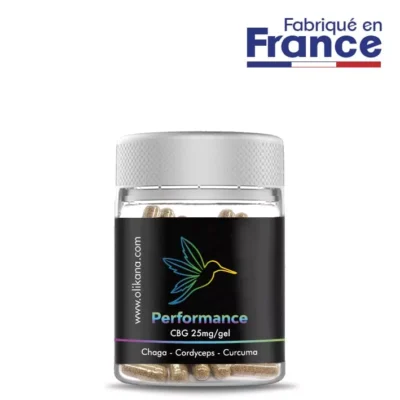 Champignons Adaptogènes